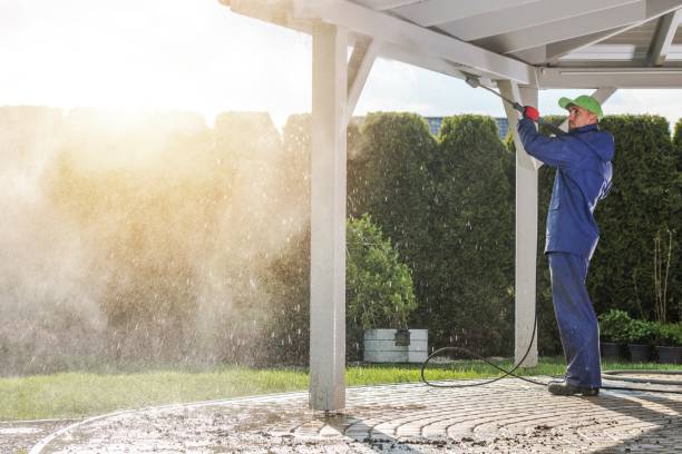 Best Rust Removal  in Siesta Acres, TX